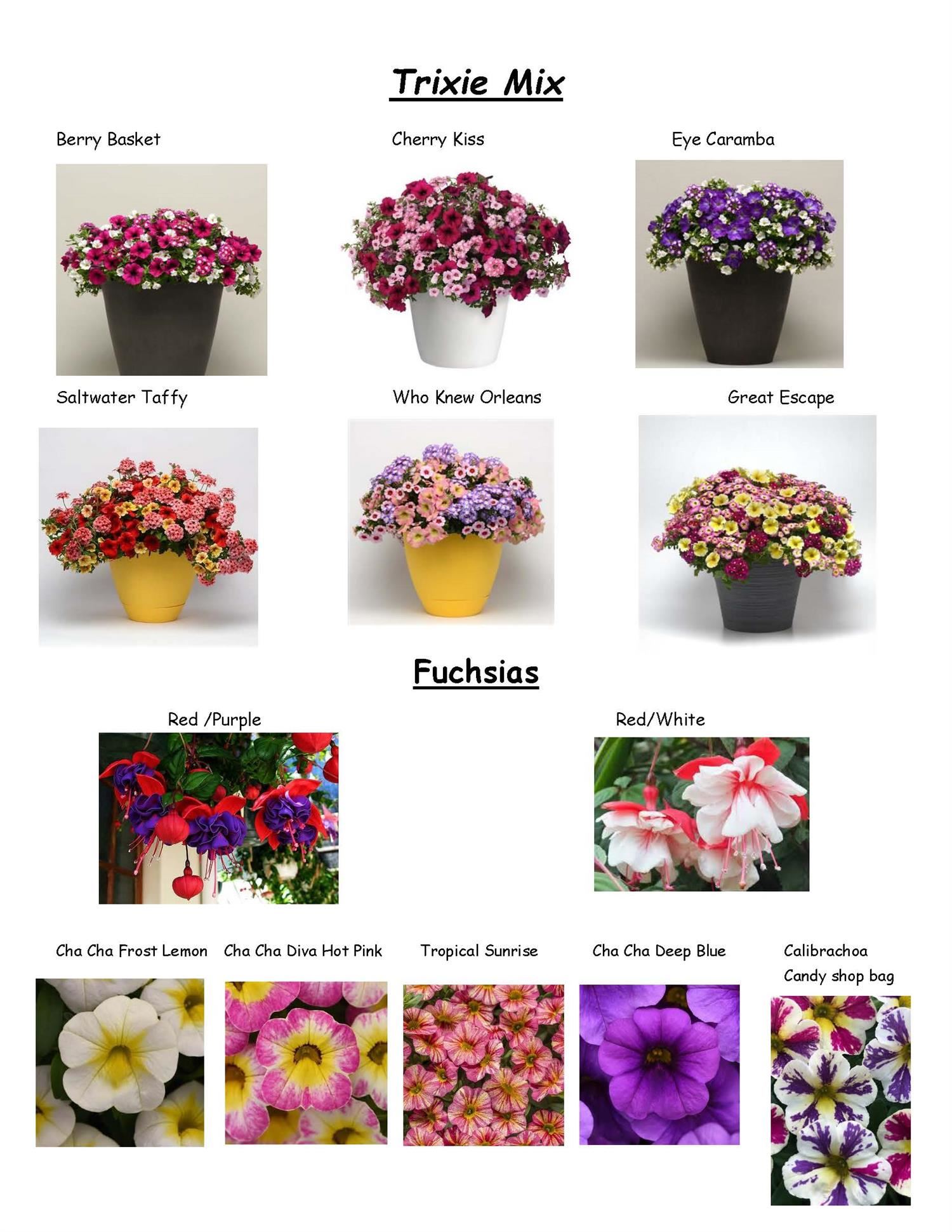 Outdoor Education Flower Sale Fundraiser